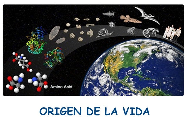 El origen de la vida