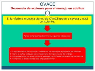 OVACE.pdf