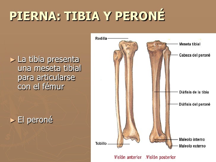 Tema 4 (parte iii)