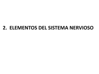 2. ELEMENTOS DEL SISTEMA NERVIOSO
 