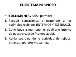 EL SISTEMA NERVIOSO
• El SISTEMA NERVIOSO permite:
1. Percibir sensaciones y responder a los
estímulos recibidos (INTERNOS Y EXTERNOS).
2. Contribuye a mantener el equilibrio interno
de nuestro cuerpo (homeostasis).
3. Actúa coordinando la actividad de tejidos,
órganos, aparatos y sistemas.
 
