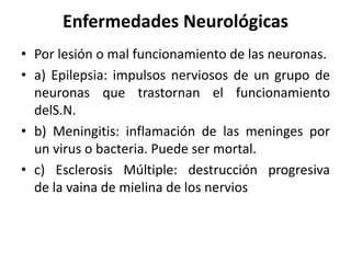 Enfermedades Neurológicas
• Por lesión o mal funcionamiento de las neuronas.
• a) Epilepsia: impulsos nerviosos de un grupo de
neuronas que trastornan el funcionamiento
delS.N.
• b) Meningitis: inflamación de las meninges por
un virus o bacteria. Puede ser mortal.
• c) Esclerosis Múltiple: destrucción progresiva
de la vaina de mielina de los nervios
 
