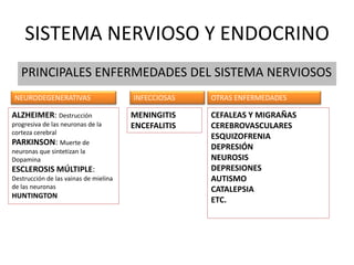 SISTEMA NERVIOSO Y ENDOCRINO
PRINCIPALES ENFERMEDADES DEL SISTEMA NERVIOSOS
NEURODEGENERATIVAS INFECCIOSAS OTRAS ENFERMEDADES
ALZHEIMER: Destrucción
progresiva de las neuronas de la
corteza cerebral
PARKINSON: Muerte de
neuronas que sintetizan la
Dopamina
ESCLEROSIS MÚLTIPLE:
Destrucción de las vainas de mielina
de las neuronas
HUNTINGTON
MENINGITIS
ENCEFALITIS
CEFALEAS Y MIGRAÑAS
CEREBROVASCULARES
ESQUIZOFRENIA
DEPRESIÓN
NEUROSIS
DEPRESIONES
AUTISMO
CATALEPSIA
ETC.
 