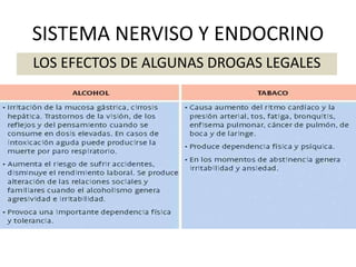SISTEMA NERVISO Y ENDOCRINO
LOS EFECTOS DE ALGUNAS DROGAS LEGALES
 