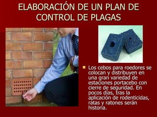 ELABORACIÓN DE UN PLAN DE CONTROL DE PLAGAS Los cebos para roedores se colocan y distribuyen en una gran variedad de estaciones portacebo con cierre de seguridad. En pocos días, tras la aplicación de rodenticidas, ratas y ratones serán historia. 