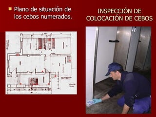INSPECCIÓN DE COLOCACIÓN DE CEBOS Plano de situación de los cebos numerados. 