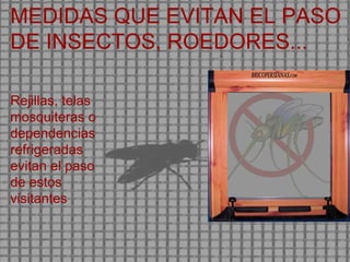 MEDIDAS QUE EVITAN EL PASO DE INSECTOS, ROEDORES... Rejillas, telas mosquiteras o dependencias refrigeradas evitan el paso de estos visitantes 