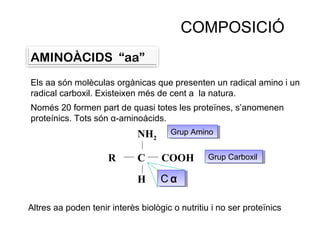 COMPOSICIÓ
AMINOÀCIDS “aa”
Els aa són molèculas orgànicas que presenten un radical amino i un
radical carboxil. Existeixen més de cent a la natura.
Només 20 formen part de quasi totes les proteïnes, s’anomenen
proteínics. Tots són α-aminoácids.
                             NH2      Grup Amino
                                      Grup Amino


                     R       C      COOH         Grup Carboxil
                                                 Grup Carboxil

                             H      Cα
                                    Cα

Altres aa poden tenir interès biològic o nutritiu i no ser proteïnics
 