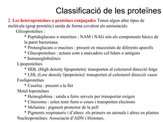 2. Les heteroproteïnes o proteïnes conjugades Tenen algun altre tipus de
molècula (grup prostètic) unida de forma covalent als aminoàcids:
Glicoproteïnes :
* Peptidoglucans o mureïnes : NAM i NAG són els components bàsics de
la paret bacteriana.
* Proteoglucans o mucines : present en mucositats de diferents aparells
* Glucoproteïnes : actuen com a marcadors cel·lulars o antígens
* Inmunoglobulines
Lipoproteïnes
* HDL (High density lipoprotein): transporten al colesterol direcció fetge
* LDL (Low density lipoprotein): transporten al colesterol direcció vasos
Fosfoproteïnes
* Caseïna : present a la llet
Metal·loproteïnes
* Hemoglobina : unida a ferro serveix per transportar oxigen
* Citocroms : solen tenir ferro o coure i transporten electrons
* Melanina : pigment protector de la pell
* Pigments respiratoris i d’altres: els primers en animals i altres en plantes
Nucleoproteïnes: Associació d’ADN i Histones.
Classificació de les proteïnes
 