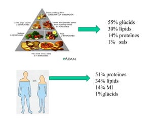 51% proteïnes
34% lípids
14% MI
1%glúcids
55% glúcids
30% lípids
14% proteïnes
1% sals
 