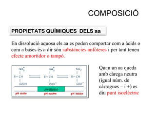 PROPIETATS QUÍMIQUES DELS aa
COMPOSICIÓ
En dissolució aquosa els aa es poden comportar com a àcids o
com a bases és a dir són substàncies anfòteres i per tant tenen
efecte amortidor o tampó.
zwitterió
Quan un aa queda
amb càrega neutra
(igual núm. de
càrregues – i +) es
diu punt isoelèctric
 
