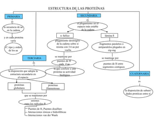 ESTRUCTURA DE LAS PROTEÍNAS

   PRIMARIA                                                                   SECUNDARIA
                                                                                    es
       es
                                                                           el plegamiento en el
la secuencia de aa                                                         espacio más estable
    en la cadena                                                               de la cadena

                                                            α -hélice                                   lámina ß
y en cada proteína
      varía                                          plegamiento dextrógiro
                                                      de la cadena sobre sí                        fragmentos paralelos o
 nº, tipo y orden                                     misma con 3.6 aa por                        antiparalelos plegados en
     de los aa                                                vuelta                                       zig-zag

                                                    se mantiene por
                         TERCIARIA                                                                   se mantiene por
                                                      puentes de H
                             es                                                                       puentes de H entre
                                                       cada 4 aa
                                                                                                     segmentos contiguos
                                                   la que confiere a una
    la disposición que adopta la                   proteína su actividad
      estructura secundaria en                           biológica                                                              CUATERNARIA
             el espacio
                                                                                                                                       es
             proteínas                         proteínas
            globulares                       filamentosas
                                                                                                                           la disposición de subuni-
                                                                                                                            dades protéicas entre sí
                     que se mantienen por
                            uniones
                     entre los radicales R
                         Puentes de H, Puentes disulfuro
                         Interacciones iónicas e hidrofóbicas
                         Interacciones van der Waals
 