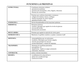 FUNCIONES LAS PROTEÍNAS
ESTRUCTURAL        Constituyen estructuras celulares:
                   -proteínas de membrana
                   -proteínas del citoesqueleto, cilios, flagelos, ribosomas
                   -histonas de cromosomas

                   Proteínas que confieren elasticidad y resistencia:
                   -colágeno de tendones, huesos, cartílagos
                   -elastina de paredes de ciertos órganos
                   -queratina de pelos y uñas
ENZIMÁTICA         Son los biocatalizadores de las reacciones químicas
HORMONAL           Hormonas proteicas:
                   -insulina y glucagón que regulan los niveles de glucosa
                   -tiroxina del tiroides
                   -hormona del crecimiento

REGULADORA         Proteínas que regulan la expresión de ciertos genes
HOMEOSTÁTICA       Mantienen el equilibrio osmótico y ayudan a mantener el pH

DEFENSIVA          -inmunoglobulinas que son anticuerpos
                   -trombina y fibrinógeno que forman coágulos
                   -mucinas que protegen las mucosas
                   -toxinas bacterianas y venenos de serpientes
TRANSPORTE         -Permeasas de membrana plasmática
                   -hemoglobina: O2
                   -lipoproteínas : lípidos en sangre (colesterol)
                   -citocromos: electrones
CONTRÁCTIL         actina y miosina musculares
RESERVA            -ovoalbúmina de la clara de huevo
                   -gluten de la semilla del trigo
                   -caseína de la leche
 