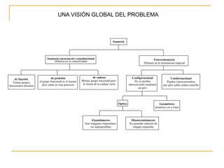 UNA VISIÓN GLOBAL DEL PROBLEMA



                                                                                  Isomería




                              Isomería estructural o constitucional                                                  Estereoisomería
                                   Difieren en la conectividad
                                                                                                             Difieren en la orientación espacial




                                  de posición                     de cadena                         Configuracional                Conformacional
    de función
                        el grupo funcional es el mismo   Mismo grupo funcional pero                   No se pueden             Pueden interconvertirse
   Tienen grupos
                          pero están en otra posición     la forma de la cadena varía            interconvertir mediante     por giro sobre enlace sencillo
funcionales distintos
                                                                                                         un giro




                                                                                        Óptica                           Geométrica
                                                                                                                      Isómeros cis y trans



                                                                Enantiómeros                      Diastereoisómeros
                                                           Son imágenes especulares              No guardan relación de
                                                               no superponibles                    imagen especular
 