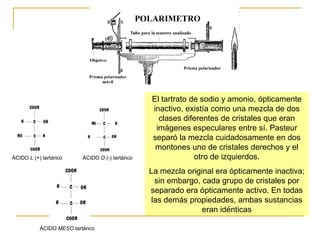 El tartrato de sodio y amonio, ópticamente
                                                  inactivo, existía como una mezcla de dos
                                                    clases diferentes de cristales que eran
                                                   imágenes especulares entre sí. Pasteur
                                                  separó la mezcla cuidadosamente en dos
                                                   montones uno de cristales derechos y el
ÁCIDO L (+) tartárico     ÁCIDO D (-) tartárico                otro de izquierdos.
                                                  La mezcla original era ópticamente inactiva;
                                                    sin embargo, cada grupo de cristales por
                                                  separado era ópticamente activo. En todas
                                                   las demás propiedades, ambas sustancias
                                                                 eran idénticas

           ÁCIDO MESO tartárico
 