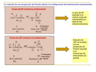 La rotación de una proyección de Fischer afecta a la configuración del estereocentro representado:

        El giro de 90º invierte la configuración

                                                                           un giro de 90°
                                                                           equivale a un
                                                                           número impar de
                                                                           intercambios (un
                                                                           total de tres
                                                                           interconversiones)




     El giro de 180º conserva la configuración
                                                                            Este giro de
                                                                            180° en el plano
                                                                            en una
                                                                            proyección de
                                                                            Fischer equivale
                                                                            a un
                                                                            número par de
                                                                            intercambios de
                                                                            grupos,
 