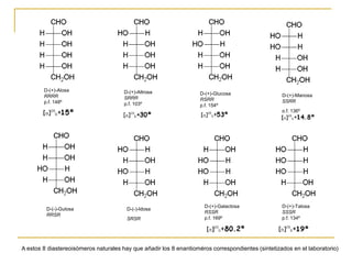D-(+)-Alosa                    D-(+)-Altrosa                D-(+)-Glucosa                  D-(+)-Manosa
        RRRR                           SRRR                         RSRR                           SSRR
        p.f. 148º                      p.f. 103º                    p.f. 154º
                                                                                                   p.f. 136º




                                                                     D-(+)-Galactosa               D-(+)-Talosa
         D-(-)-Gulosa                   D-(-)-Idosa
                                                                     RSSR                          SSSR
         RRSR
                                        SRSR                         p.f. 169º                     p.f. 134º




A estos 8 diastereoisómeros naturales hay que añadir los 8 enantioméros correspondientes (sintetizados en el laboratorio)
 