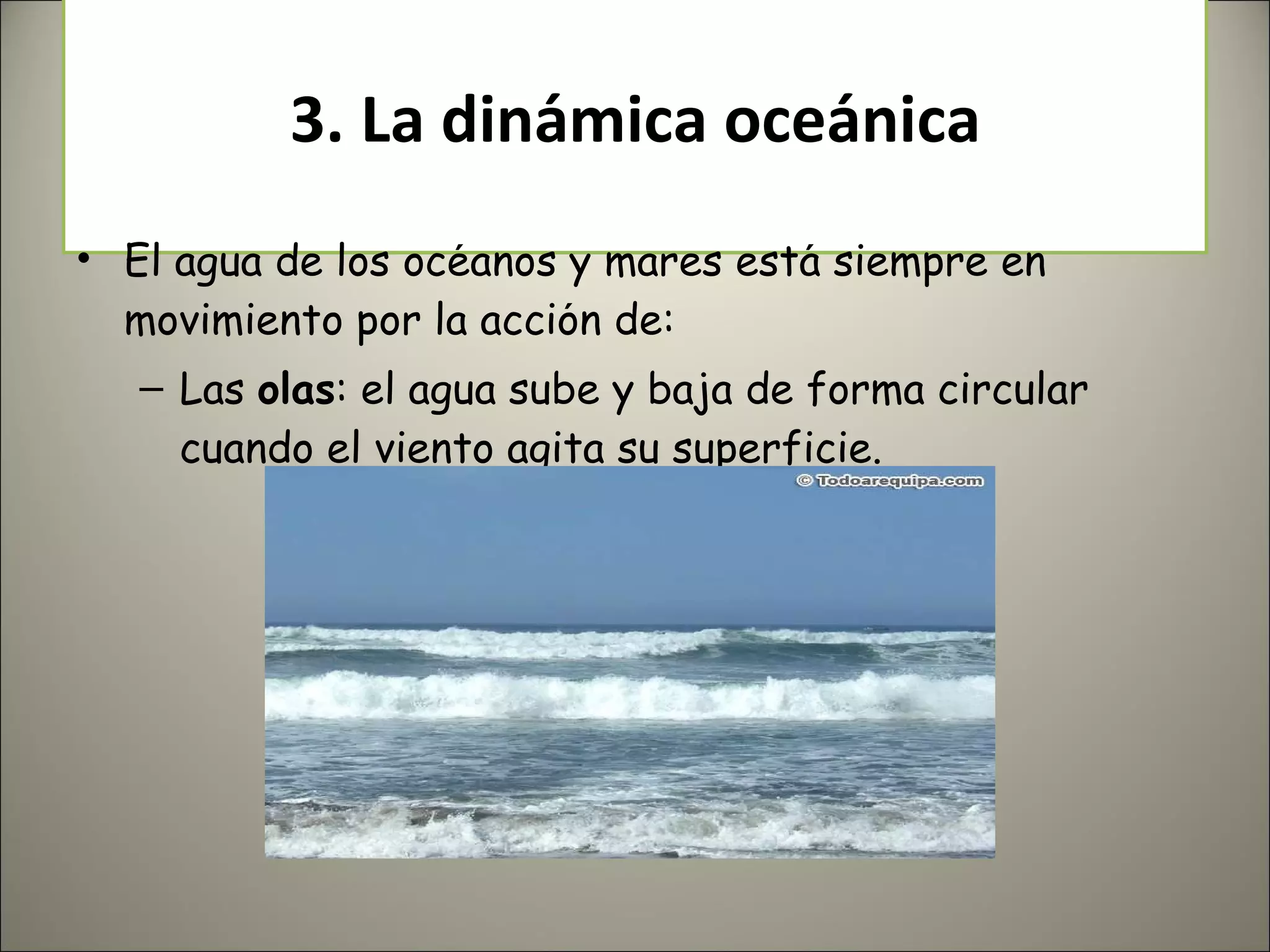 3. La dinámica oceánica El agua de los océanos y mares está siempre en movimiento por la acción de: Las  olas : el agua sube y baja de forma circular cuando el viento agita su superficie. 