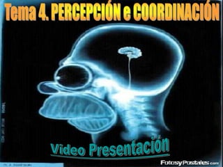Tema 4. PERCEPCIÓN e COORDINACIÓN Video Presentación 