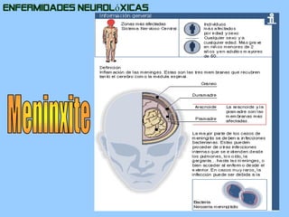 Enfermidades NeurolóxicasMeninxite
