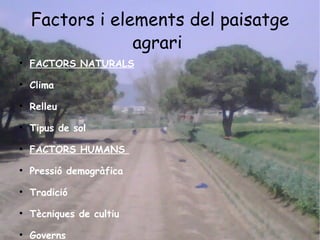 Factors i elements del paisatge agrari   <ul><li>FACTORS NATURALS </li></ul><ul><li>Clima  </li></ul><ul><li>Relleu  </li>...