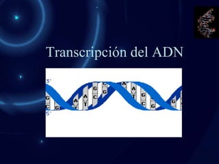 Transcripción del ADN
 