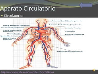 Aparato Circulatorio
 Circulatorio:




http://www.youtube.com/watch?v=OV3evSZimxA
 