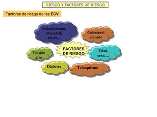 RIESGO Y FACTORES DE RIESGO Factores de riesgo de las  ECV Colesterol elevado Tensión alta Edad, sexo,… Diabetes Sedentarismo, obesidad, estrés,.. Tabaquismo FACTORES DE RIESGO 