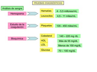 PRUEBAS DIAGNÓSTICAS Análisis de sangre Hemograma Hematíes Leucocitos 4 - 5,5 millones/mL 4,5 - 11 miles/mL Estudio de la coagulación Plaquetas 135 - 450 miles/mL Bioquímica Colesterol HDL 140 – 220 mg /dL Más de 55 mg/dL LDL Menos de 150 mg/dL Glucosa 70 – 100 mg/dL 