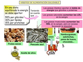 HÁBITOS DE ALIMENTACIÓN SALUDABLE Teniendo en cuenta que Las grasas (lípidos) aportan el  doble de energía  que glúcidos o proteínas Las grasas saturadas  aumentan las LDL  en la sangre Las grasas insaturadas  aumentan las HDL  en la sangre, pero en exceso favorecen la obesidad En una dieta equilibrada la energía se debe aportar: 55% por glúcidos 30% por lípidos  15% por proteínas Bollería industrial Grasas animales Aceite de coco y palma Hamburguesas, salchichas, yema de huevo, chocolate,.. Frutos secos Pescado azul Aceite de oliva 