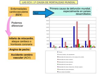 Infarto de miocardio , ataque cardiaco o trombosis coronaria Primera causa de defunción mundial, especialmente en países desarrollados LAS ECV: 1ª CAUSA DE MORTALIDAD MUNDIAL Enfermedades cardiovasculares ( ECV ) Son Podemos diferenciar Angina de pecho Accidente cerebro vascular  (ACV) 