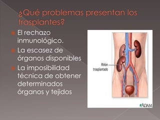 ¿Qué problemas presentan los trasplantes?El rechazo inmunológico. La escasez de órganos disponiblesLa imposibilidad técnica de obtener determinados órganos y tejidos