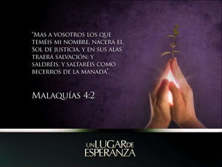 “Mas a vosotros los que teméis mi nombre, nacerá el Sol de justicia, y en sus alas traerá salvación; y saldréis, y saltaréis como becerros de la manada”.Malaquías 4:2