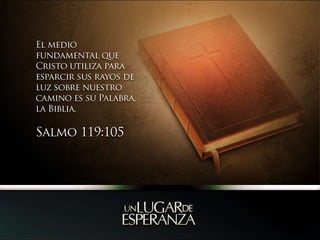 El medio fundamental que Cristo utiliza para esparcir sus rayos de luz sobre nuestro camino es su Palabra, la Biblia.Salmo 119:105