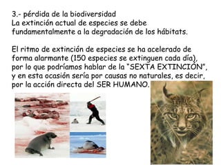 3.- pérdida de la biodiversidad La extinción actual de especies se debe fundamentalmente a la degradación de los hábitats. El ritmo de extinción de especies se ha acelerado de forma alarmante (150 especies se extinguen cada día), por lo que podríamos hablar de la “SEXTA EXTINCIÓN”, y en esta ocasión sería por causas no naturales, es decir, por la acción directa del SER HUMANO.  
