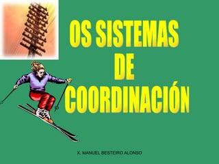OS SISTEMAS  DE COORDINACIÓN 