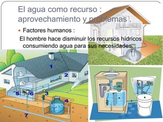 El agua como recurso :
aprovechamiento y problemas .
 Factores humanos :
El hombre hace disminuir los recursos hídricos
 consumiendo agua para sus necesidades.
 