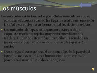 Los músculos
Los músculos están formados por células musculares que se
  contraen se acortan cuando les llega la señal de un nervio. Si
  la señal cesa vuelven a su forma inicial (es decir, se relajan)
 Los músculos del aparato locomotor están unidos al
  esqueleto mediante tejidos muy resistentes llamados
  tendones. Cuando estos músculos reciben la señal de un
  nervio se contraen y mueven los huesos a los que están
  unidos
 Otros músculos como los del corazón o los de la pared del
  intestino no están unidos a huesos cuando se contraen
  provocan el movimiento de esos órganos
 