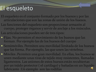 El esqueleto
El esqueleto es el conjunto formado por los huesos y por las
  articulaciones que son las zonas de unión de los huesos.
Las funciones del esqueleto son proporcionar armazón al
  cuerpo, proteger órganos y servir de anclaje a los músculos.
Las articulaciones pueden ser de tres tipos:
 Fijas. No permiten el movimiento de los huesos que las
  forman. Por ejemplo las de los huesos del cuerpo
 Semimóviles. Permiten una movilidad limitada de los huesos
  que las forma. Por ejemplo, las que unen las vértebras.
 Móviles .Permiten una gran movilidad. En ellas, los huesos se
  unen mediante unas tiras de tejido muy resistentes, llamadas
  ligamentos. Las uniones de estos huesos están recubiertas
  por un tejido protector ( el cartílago) y bañadas en un líquido
  lubricante .Un ejemplo son las rodillas
 