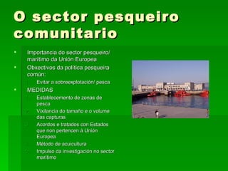 O sector pesqueiro comunitario <ul><li>Importancia do sector pesqueiro/ marítimo da Unión Europea </li></ul><ul><li>Obxect...