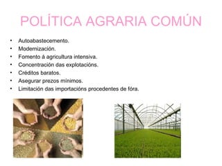POLÍTICA AGRARIA COMÚN
•   Autoabastecemento.
•   Modernización.
•   Fomento á agricultura intensiva.
•   Concentración das explotacións.
•   Créditos baratos.
•   Asegurar prezos mínimos.
•   Limitación das importacións procedentes de fóra.
 