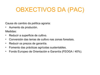 OBXECTIVOS DA (PAC)

Causa do cambio da política agraria:
• Aumento da produción.
Medidas:
• Reducir a superficie de cultivo.
• Conversión das terras de cultivo nas zonas forestais.
• Reducir os prezos de garantía.
• Fomento das prácticas agrícolas sustentables.
• Fondo Europeo de Orientación e Garantía (FEOGA / 40%).
 