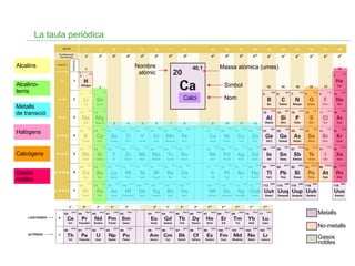 La taula periòdica Metalls No-metalls Gasos  nobles Calci Nombre atòmic Massa atòmica ( umes) Símbol Nom Alcalins Alcalino-t erris Metalls  de transició Halògens Calcògens Gasos nobles 