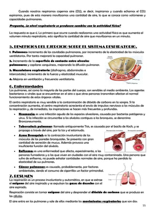 Cuando nosotros respiramos cogemos aire (O2), es decir, inspiramos y cuando echamos el CO2
espiramos, pues de esta manera movilizamos una cantidad de aire, lo que se conoce como volúmenes y
capacidades pulmonares.

Pregunta, ¿a nivel respiratorio se producen cambios con la actividad física?

La respuesta es que sí. Lo primero que ocurre cuando realizamos una actividad física es que aumenta el
volumen minuto respiratorio, esto significa la cantidad de aire que movilizamos en un minuto.


5. BENEFICIOS DEL EJERCICIO SOBRE EL SISTEMA RESPIRATORIO.
1. Pulmones: incremento de las cavidades pulmonares, por incremento de la elasticidad de los músculos
ventilatorios. Por tanto mejorará la capacidad pulmonar.
2. Incremento de la superficie de contacto entre alveolos
pulmonares y capilares sanguíneos, mejorando la difusión pulmonar.
3. Musculatura respiratoria (diafragma, abdominales e
intercostales): incremento de la fuerza y elasticidad muscular.
4. Mejoras en ventilación y frecuencia ventilatoria.

6. Enfermedades
Los pulmones, así como la mayoría de las partes del cuerpo, son sensibles al medio ambiente. Los agentes
bacterianos o virales que se encuentran en el aire o que otras personas transmiten afectan el normal
funcionamiento de estos órganos vitales.
El centro respiratorio es muy sensible a la contaminación de dióxido de carbono en la sangre. Si la
concentración aumenta, el centro respiratorio acrecienta el envío de impulsos nerviosos a los músculos de
la respiración y, de inmediato, las inspiraciones se hacen más frecuentes y profundas.
       Neumonía: es una infección aguda de los espacios alveolares, causada por bacterias patógenas y
       virus. Si la infección se circunscribe a los alvéolos contiguos a los bronquios, se denomina
       Bronconeumonía.
       Tuberculosis pulmonar: llamada antiguamente Tisis, es causada por el bacilo de Koch, y se
       propaga a través del aire, por la tos y el estornudo.
       Asma Bronquial: es la contracción involuntaria de los
       músculos de las paredes bronquiales. Se presenta con gran
       cantidad de secreción de mucus. Además provoca una
       insuficiente función del alvéolo.
       Enfisema: es una enfermedad que afecta, especialmente, a las
       personas fumadoras y a las que viven en ciudades con el aire muy contaminado. Una persona que
       sufre de enfisema, no puede exhalar cantidades normales de aire, porque ha perdido la
       elasticidad de sus pulmones.
       Cáncer pulmonar: es causado, probablemente, por factores
       ambientales, siendo el consumo de cigarrillos un factor primordial.
7. RESUMEN
La respiración es un proceso involuntario y automático, en que se extrae
el oxígeno del aire inspirado y se expulsan los gases de desecho con el
aire espirado.
Respiración consiste en tomar oxígeno del aire y desprender el dióxido de carbono que se produce en
las células.
El aire entra en los pulmones y sale de ellos mediante los movimientos respiratorios que son dos:
                                                                                                        55
 