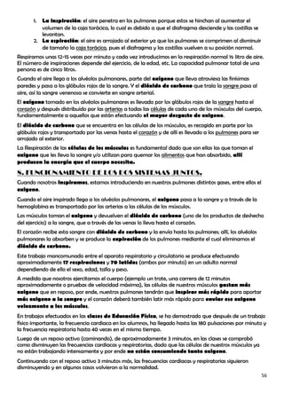 1. La inspiración: el aire penetra en los pulmones porque estos se hinchan al aumentar el
          volumen de la caja torácica, lo cual es debido a que el diafragma desciende y las costillas se
          levantan.
       2. La espiración: el aire es arrojado al exterior ya que los pulmones se comprimen al disminuir
          de tamaño la caja torácica, pues el diafragma y las costillas vuelven a su posición normal.
Respiramos unas 12-15 veces por minuto y cada vez introducimos en la respiración normal ½ litro de aire.
El número de inspiraciones depende del ejercicio, de la edad, etc. La capacidad pulmonar total de una
persona es de cinco litros.
Cuando el aire llega a los alvéolos pulmonares, parte del oxígeno que lleva atraviesa las finísimas
paredes y pasa a los glóbulos rojos de la sangre. Y el dióxido de carbono que traía la sangre pasa al
aire, así la sangre venenosa se convierte en sangre arterial.
El oxígeno tomado en los alvéolos pulmonares es llevado por los glóbulos rojos de la sangre hasta el
corazón y después distribuido por las arterias a todas las células de cada uno de los músculos del cuerpo,
fundamentalmente a aquellos que están efectuando el mayor desgaste de oxigeno.
El dióxido de carbono que se encuentra en las células de los músculos, es recogido en parte por los
glóbulos rojos y transportado por las venas hasta el corazón y de allí es llevado a los pulmones para ser
arrojado al exterior.
La Respiración de las células de los músculos es fundamental dado que son ellas las que toman el
oxígeno que les lleva la sangre y/o utilizan para quemar los alimentos que han absorbido, allí
producen la energía que el cuerpo necesita.
8. FUNCIONAMIENTO DE LOS DOS SISTEMAS JUNTOS.
Cuando nosotros inspiramos, estamos introduciendo en nuestros pulmones distintos gases, entre ellos el
oxigeno.
Cuando el aire inspirado llega a los alvéolos pulmonares, el oxigeno pasa a la sangre y a través de la
hemoglobina es transportado por las arterias a las células de los músculos.
Los músculos toman el oxigeno y devuelven el dióxido de carbono (uno de los productos de deshecho
del ejercicio) a la sangre, que a través de las venas lo lleva hasta el corazón.
El corazón recibe esta sangre con dióxido de carbono y la envía hasta los pulmones; allí, los alvéolos
pulmonares la absorben y se produce la expiración de los pulmones mediante el cual eliminamos el
dióxido de carbono.
Este trabajo mancomunado entre el aparato respiratorio y circulatorio se produce efectuando
aproximadamente 17 respiraciones y 70 latidos (ambos por minuto) en un adulto normal
dependiendo de ello el sexo, edad, talla y peso.
A medida que nosotros ejercitamos el cuerpo (ejemplo un trote, una carrera de 12 minutos
aproximadamente o pruebas de velocidad máxima), las células de nuestros músculos gastan más
oxigeno que en reposo, por ende, nuestros pulmones tendrán que inspirar más rápido para aportar
más oxigeno a la sangre y el corazón deberá también latir más rápido para enviar ese oxigeno
velozmente a los músculos.
En trabajos efectuados en las clases de Educación Física, se ha demostrado que después de un trabajo
físico importante, la frecuencia cardiaca en los alumnos, ha llegado hasta las 180 pulsaciones por minuto y
la frecuencia respiratoria hasta 40 veces en el mismo tiempo.
Luego de un reposo activo (caminando), de aproximadamente 3 minutos, en las clases se comprobó
como disminuyen las frecuencias cardiacas y respiratorias, dado que las células de nuestros músculos ya
no están trabajando intensamente y por ende no están consumiendo tanto oxigeno.
Continuando con el reposo activo 3 minutos más, las frecuencias cardiacas y respiratorias siguieron
disminuyendo y en algunos casos volvieron a la normalidad.
                                                                                                            56
 