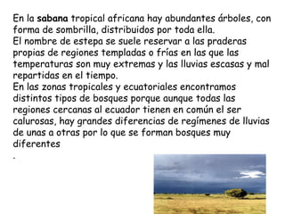 En la sabana tropical africana hay abundantes árboles, con
forma de sombrilla, distribuidos por toda ella.
El nombre de estepa se suele reservar a las praderas
propias de regiones templadas o frías en las que las
temperaturas son muy extremas y las lluvias escasas y mal
repartidas en el tiempo.
En las zonas tropicales y ecuatoriales encontramos
distintos tipos de bosques porque aunque todas las
regiones cercanas al ecuador tienen en común el ser
calurosas, hay grandes diferencias de regímenes de lluvias
de unas a otras por lo que se forman bosques muy
diferentes
.
 