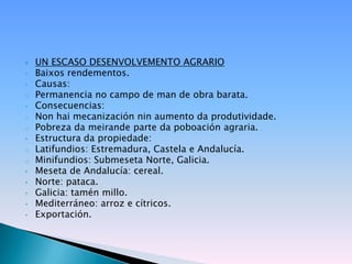    UN ESCASO DESENVOLVEMENTO AGRARIO
•   Baixos rendementos.
•   Causas:
o   Permanencia no campo de man de obra barata.
•   Consecuencias:
o   Non hai mecanización nin aumento da produtividade.
o   Pobreza da meirande parte da poboación agraria.
•   Estructura da propiedade:
o   Latifundios: Estremadura, Castela e Andalucía.
o   Minifundios: Submeseta Norte, Galicia.
•   Meseta de Andalucía: cereal.
•   Norte: pataca.
•   Galicia: tamén millo.
•   Mediterráneo: arroz e cítricos.
•   Exportación.
 