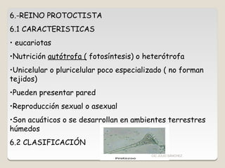 6.-REINO PROTOCTISTA
6.1 CARACTERISTICAS
• eucariotas
•Nutrición autótrofa ( fotosíntesis) o heterótrofa
•Unicelular o plu...