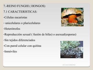 7.-REINO FUNGHI ( HONGOS)
7.1 CARACTERISTICAS:
-Células eucariotas
- unicelulares o pluricelulares
-Heterótrofos
-Reproduc...