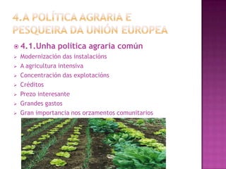  4.1.Unha      política agraria común
   Modernización das instalacións
   A agricultura intensiva
   Concentración da...